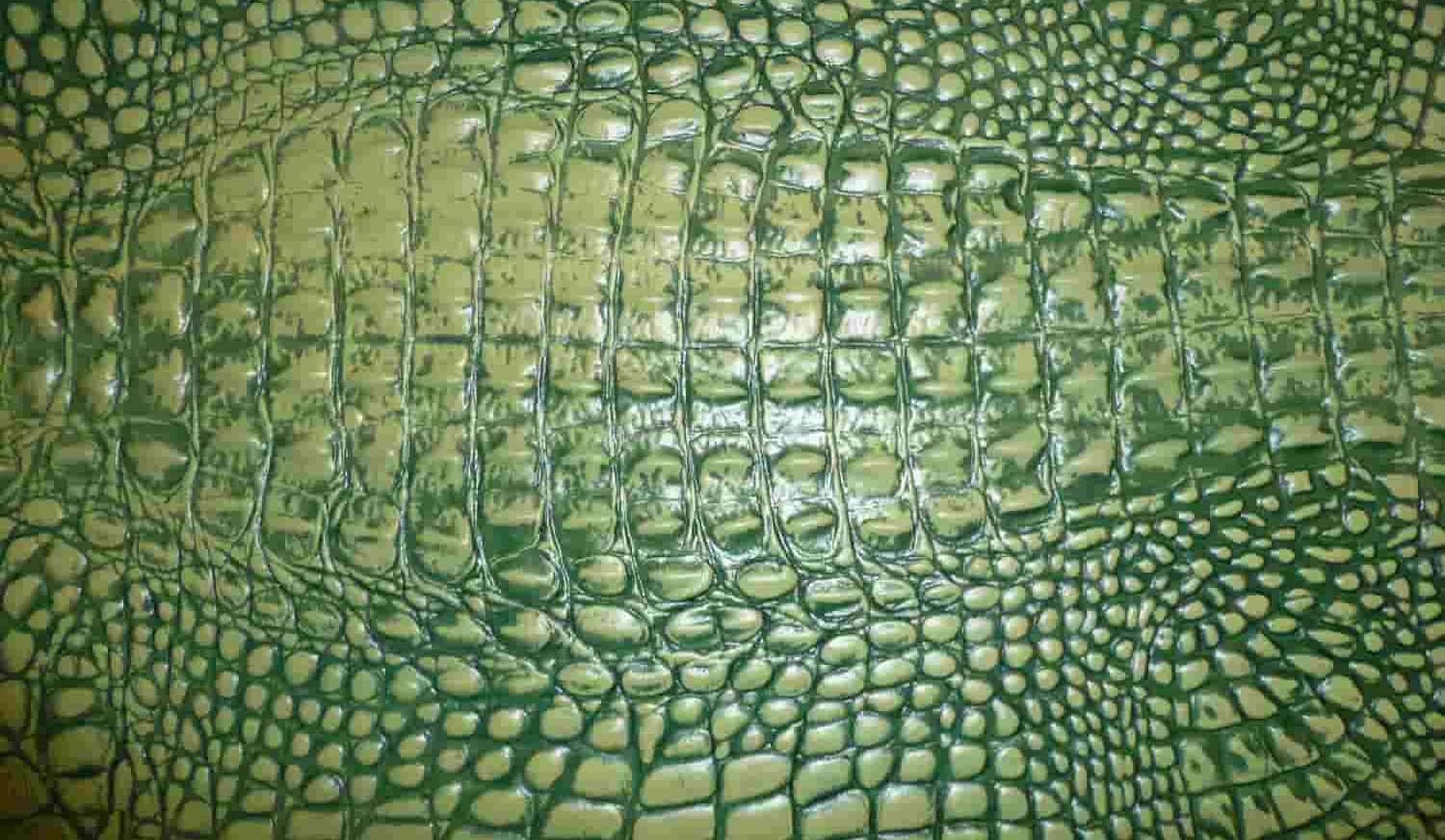  جلد التمساح + ماذا نصنع و فوائد 
